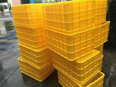 20号塑料制品 聚丙烯（PP）的广泛应用与环保挑战