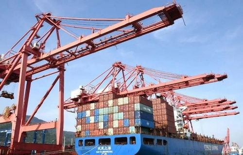 11月新规实施，关乎工资与货物进出口